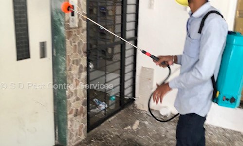 S D Pest Control Services - Pest Control in Nerul, Mumbai