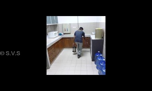 S.V.S. Pest Control Services - Pest Control in Secunderabad, Hyderabad