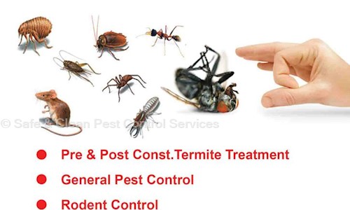 Safe & Clean Pest Control Services - Pest Control in Nerul, Mumbai