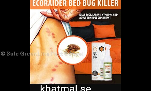 Safe Green Line Pest Control - Pest Control in Tughlakabad, Delhi