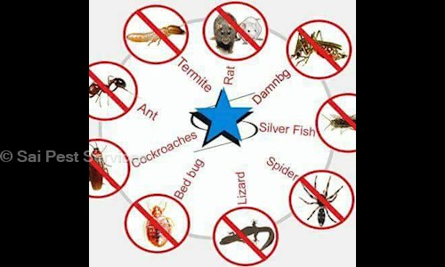 Sai Pest Services - Pest Control in Manikonda, Hyderabad