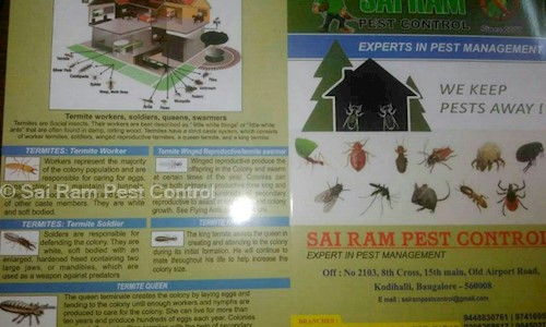 Sai Ram Pest Control - Pest Control in Kodihalli, Bangalore