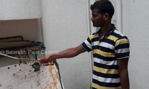 Saurabh Pest Control - Pest Control in Kothrud, Pune