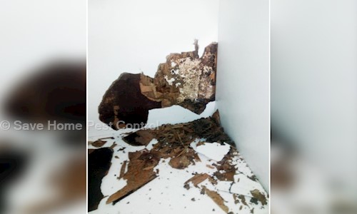 Save Home Pest Control - Pest Control in Masab Tank, Hyderabad