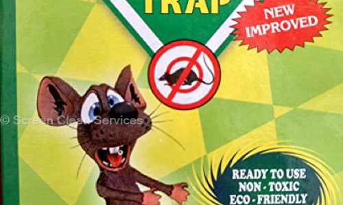 Screen Clean Services - Pest Control in Bapunagar, Ahmedabad