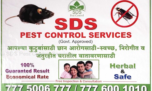 SDS Pest Control Services - Pest Control in Pimple Saudagar, Pimpri Chinchwad 
