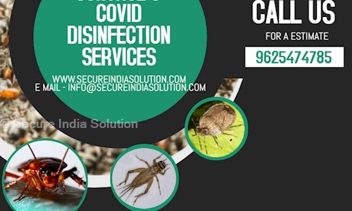 Secure India Solution - Pest Control in Rohini, Delhi