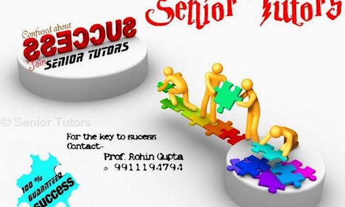 Senior Tutors - School Tuitions in Vikaspuri, Delhi