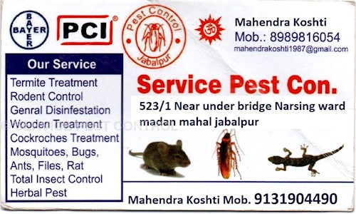 SERVICE PEST CONTROL - Pest Control in Madan Mahal, Jabalpur