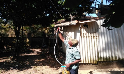 SGE Pest Control - Pest Control in Mysore-Mangalore Road, Mangalore