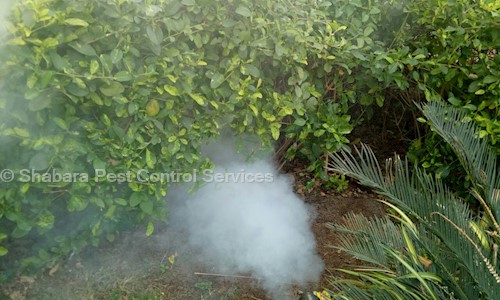 Shabara Pest Control Services - Pest Control in Thane, Mumbai