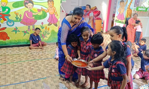Shishwa Vidya Niketan - Playschools in Ameerpet, Hyderabad