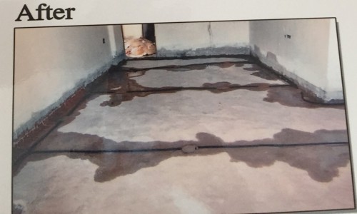 Shiv Anand Pest Control - Pest Control in Karadiya, Vadodara