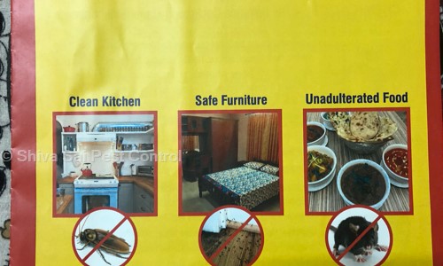 Shiva Sai Pest Control - Pest Control in Kukatpally, Hyderabad