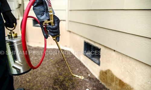 SHIVAM PEST CONTROL SERVICES - Pest Control in Meerpet, hyderabad