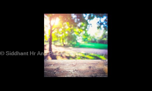 Siddhant Hr And Placement Consultany - Placement Consultancies in Sanpada, Mumbai