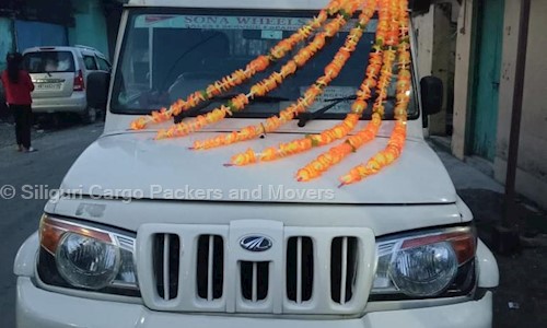 Siliguri Cargo Packers and Movers - Packers and Movers in Salugara, Siliguri