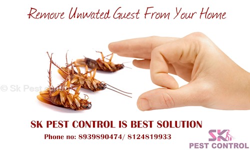 Sk Pest control - Pest Control in Kolathur, Chennai
