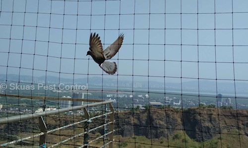 Skuas Pest Control - Pest Control in Okhla, Delhi