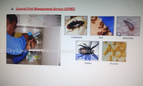 Sky Link Pest Management Services - Pest Control in Ghatkopar East, Mumbai