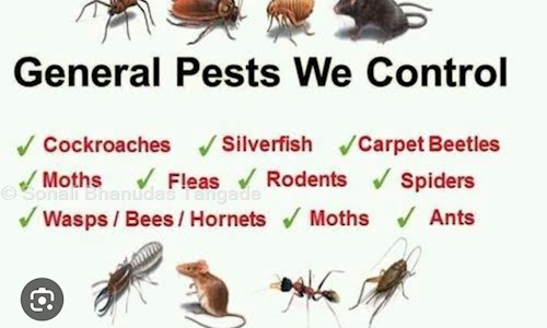 Prime Pest Control And Deep Cleaning Services - Pest Control in Kondhwa, Pune