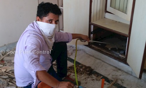 Soni Pest Control - Pest Control in Zirakpur, Chandigarh