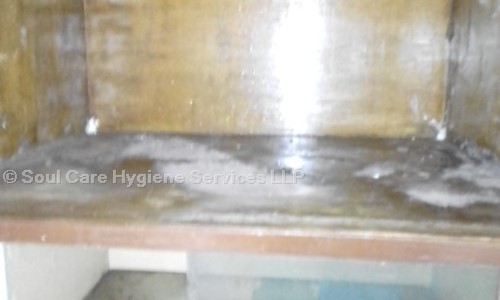 Soul Care Hygiene Services LLP - Pest Control in Palanpur Gam, Surat