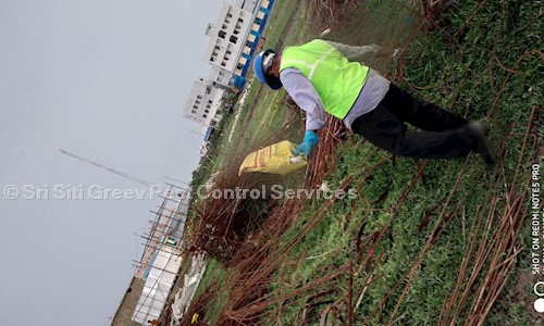 Sri Siti Greev Pest Control Services - Pest Control in Mallikarjunapeta, Vijayawada