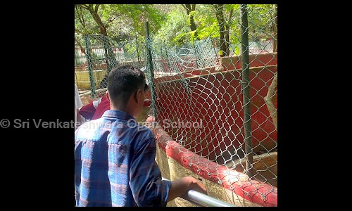 Sri Venkateshwara Open School - School Tuitions in Valasaravakkam, Chennai