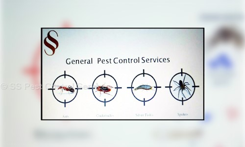 SS Pest Control Services - Pest Control in Kalyan Nagar, Bangalore