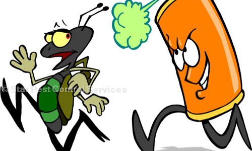 Star Pest Control Services - Pest Control in Uttam Nagar, Delhi