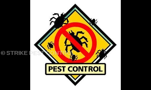 STRIKE PEST CONTROL - Pest Control in Shukrawar Peth, Pune
