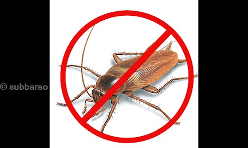 subbarao - Pest Control in Uppalurivari Street, Vijayawada