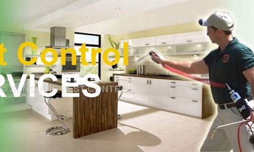 SUNSHINE PEST CONTROL - Pest Control in Sector 65, Mohali