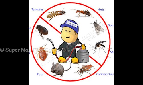 Super Max Pest Control - Pest Control in Malad West, Mumbai