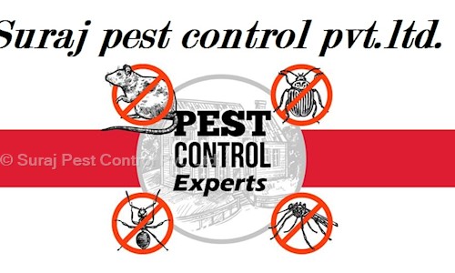 Suraj Pest Control Pvt. Ltd. - Pest Control in New Friends Colony, Delhi