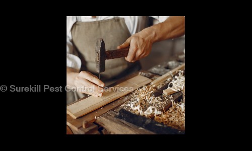 Surekill Pest Control Services - Pest Control in Ramamurthy Nagar, Bangalore