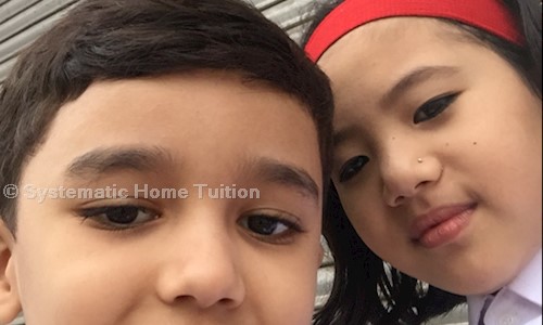 Systematic Home Tuition - School Tuitions in Vasant Kunj, Delhi