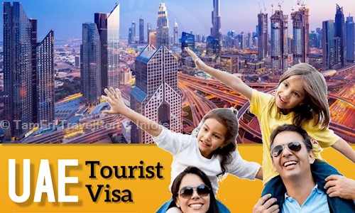 TamFri TravelPort & Infotech - Placement Consultancies in Chandra Layout, Bangalore
