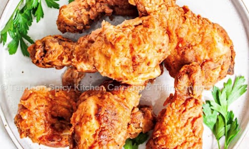 Tandoori Spicy Kitchen Catering & Tiffin Services - Catering Services in Sahibabad, Ghaziabad
