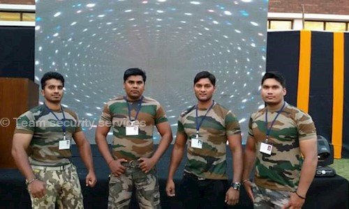 Team security services - Placement Consultancies in Laxmi Nagar, Nagpur