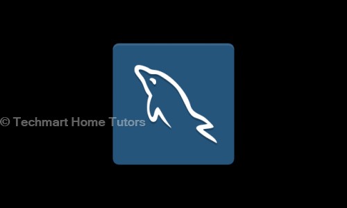 Techmart Home Tutors - School Tuitions in Vishnu Garden, Delhi