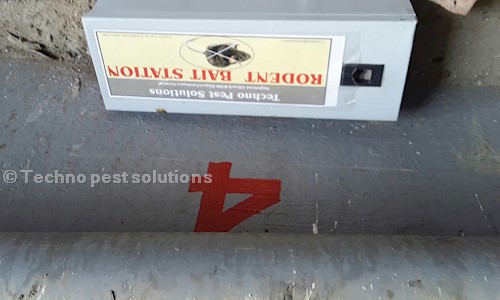 Techno Pest Solutions - Pest Control in DIG Colony, Varanasi