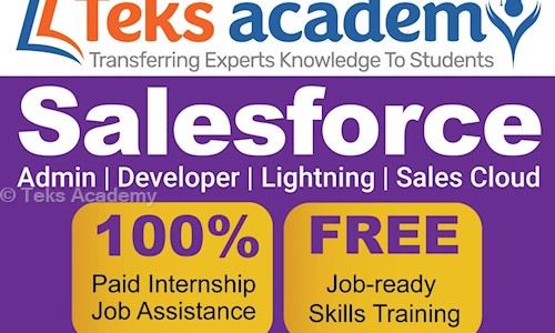Teks Academy - Job Training in Nanakramguda, Hyderabad