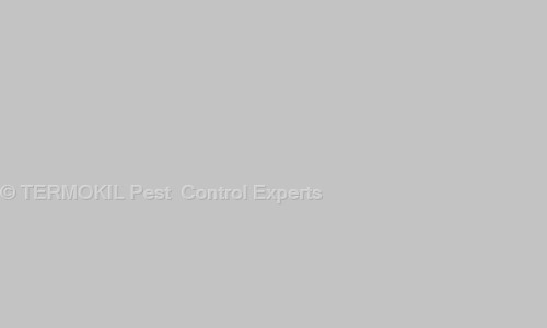 Termokil Pest Control Expert - Pest Control in Chandrabani, Dehradun