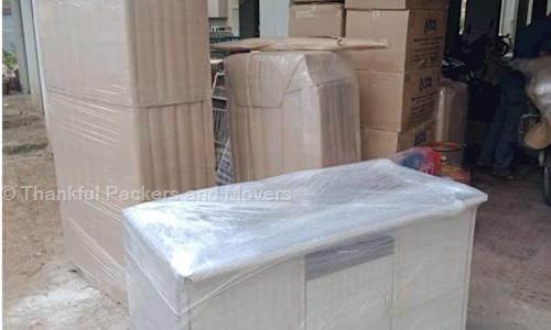 Thankful Packers and Movers  - Packers and Movers in Jaipur, Jaipur