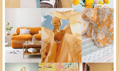 The Design Institute Of India - Job Training in Paschim Vihar, Delhi