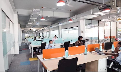 The Star SOlution - Placement Consultancies in Sector 2, Noida