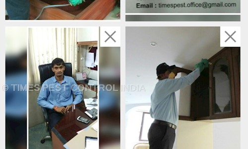 TIMES PEST CONTROL INDIA - Pest Control in Dombivali West, Mumbai