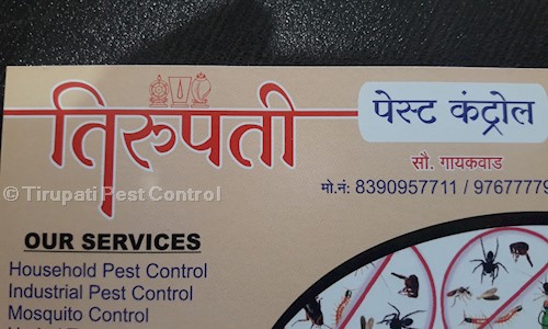 Tirupati Pest cantrol - Pest Control in Dhayari, Pune